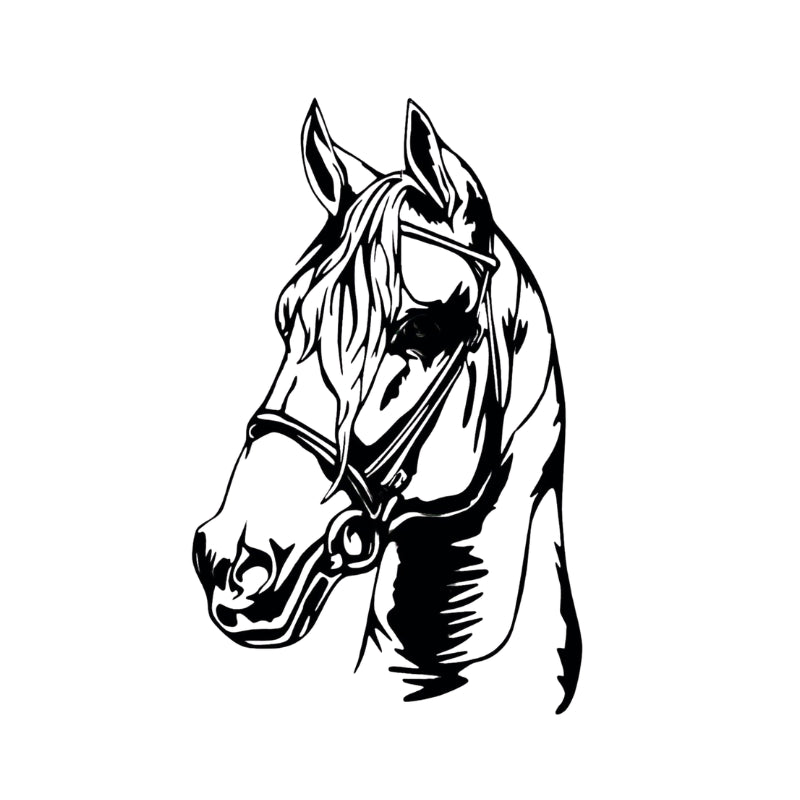 Panneau Decoratif Mural Cheval Licol
